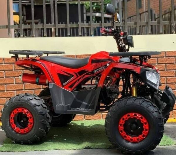 Cuatrimoto A  Gasolina 125 Cc Para Niños Montable - Imagen 3