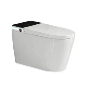 Inodoro Inteligente De Lujo Automático, Bidé, Secado Y Calefacción Confort