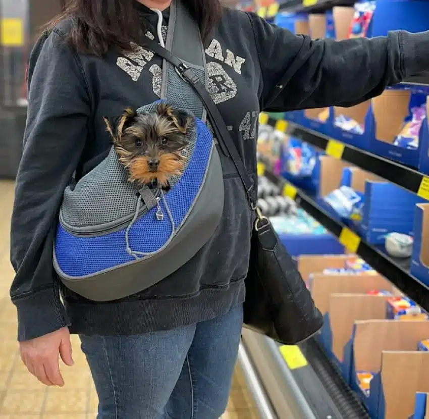 Bolso Cargador Para Mascotas Pequeña Manos Libres - Imagen 10