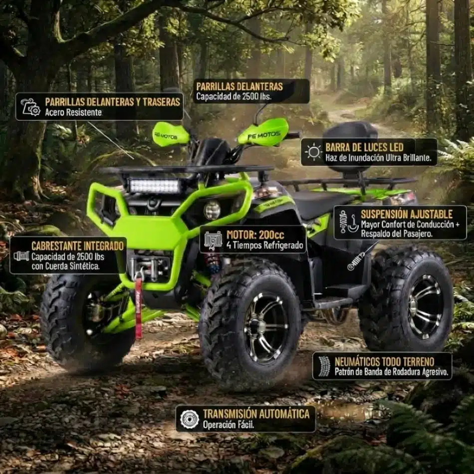 Cuatrimoto FG Wolf Pro 200 cc Con Winche Verde Con Negro - Imagen 2